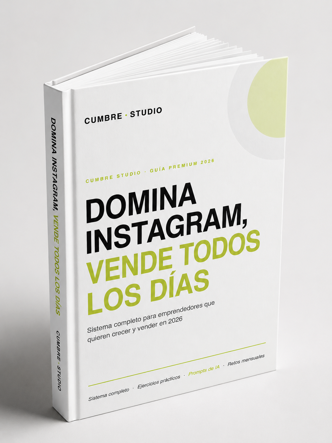 Mockup del ebook Domina Instagram, vista 3
